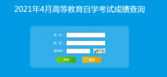 山东省2021年4月自考成绩查询入口