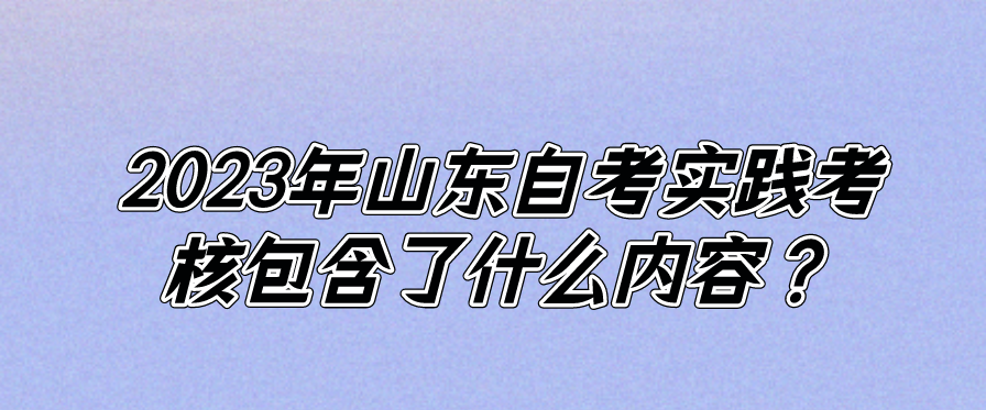 2023年山东自考实践考核包含了什么内容？