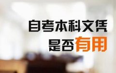 自考中英合作商务管理专业全解析