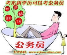 考本科文凭可以再考公务员吗