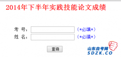 山东2014年下半年自考实践技能论文成绩查询